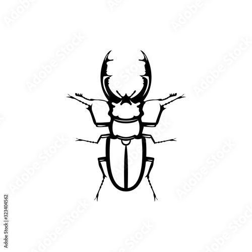 beetle bug