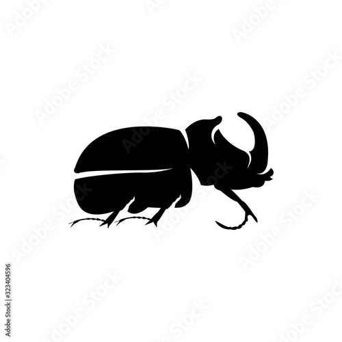beetle bug