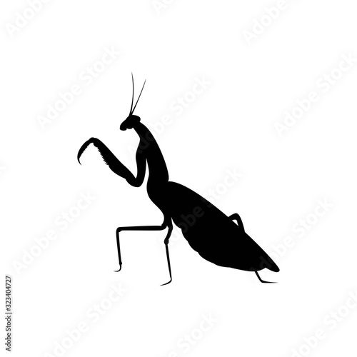 mantis bug