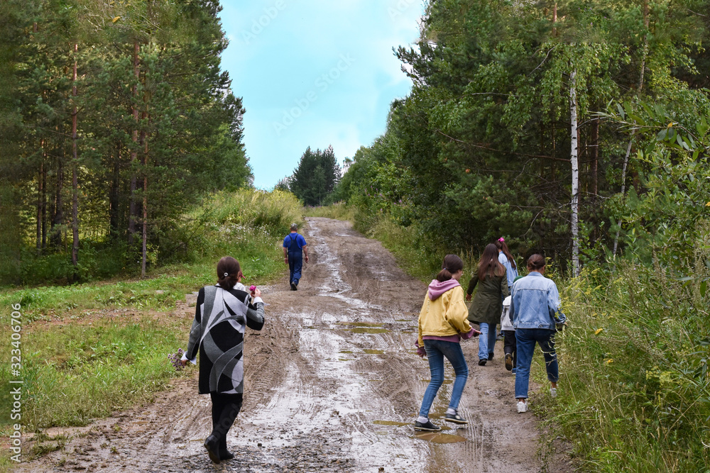 A group of people walking up a mountain forest road on a summer morning