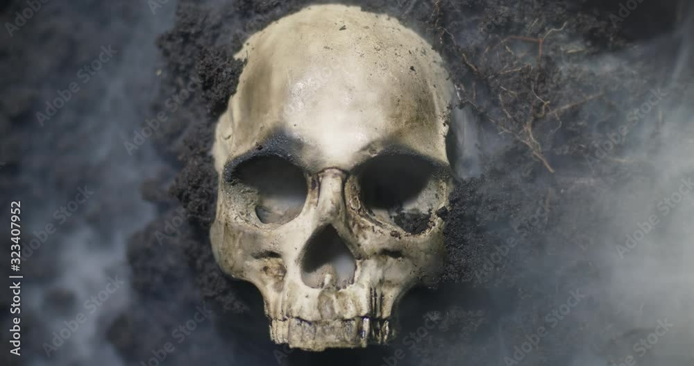 Skull of a dead man in on the ground Skull of a dead man in on the ground