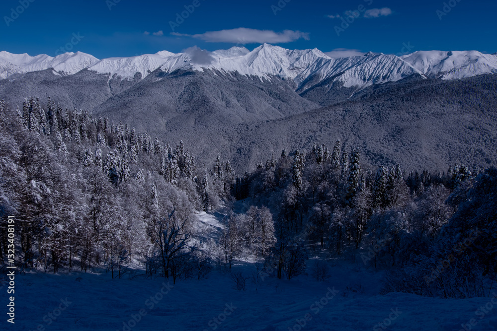 Snow covered fir trees on the background of mountain peaks. Panoramic view of the picturesque snowy winter landscape. Snow covered fir trees on the background of mountain peaks. Panoramic view of the picturesque snowy winter landscape.