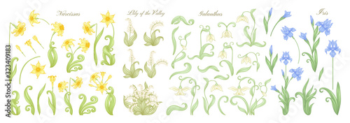Set of spring flowers: iris, lily of the valley, snowdrop, daffodil. In art nouveau style, vintage, old, retro style. Outline vector illustration.
