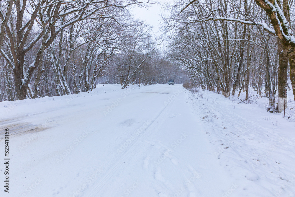 Obraz premium A car driving along a snowy road through a forest