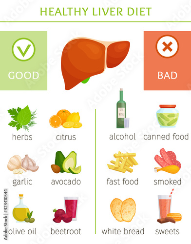The best and worst food for the liver. Information banner on the topic of health and disease prevention. Infographics with good and bad food for gall and liver. Vector illustration.