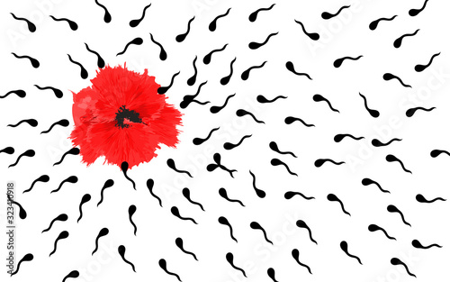  Poppy flower and sperm heading towards it. The process of fertilization. Cope space. Abstract background. Vector. illustration