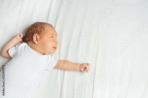 Fototapeta Portrait of newborn infant baby boy laying on the back in the room and stretchin