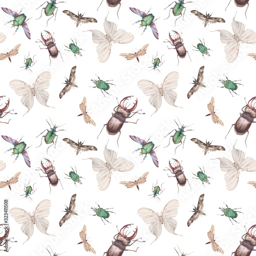 Watercolor butterfly and beetle seamless pattern. Hand drawn texture with bugs on white background © ldinka