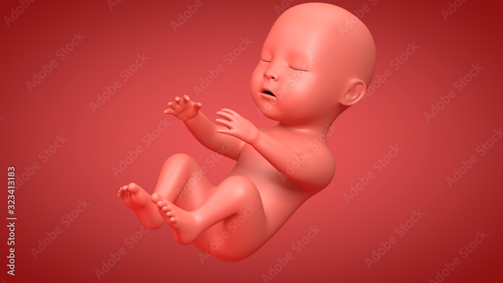 3D illustration of abstract unborn baby on clean background. 3D illustration of abstract unborn baby on clean background.