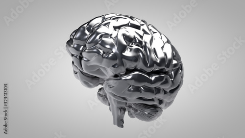 3D Illustration of human brain on clean background
