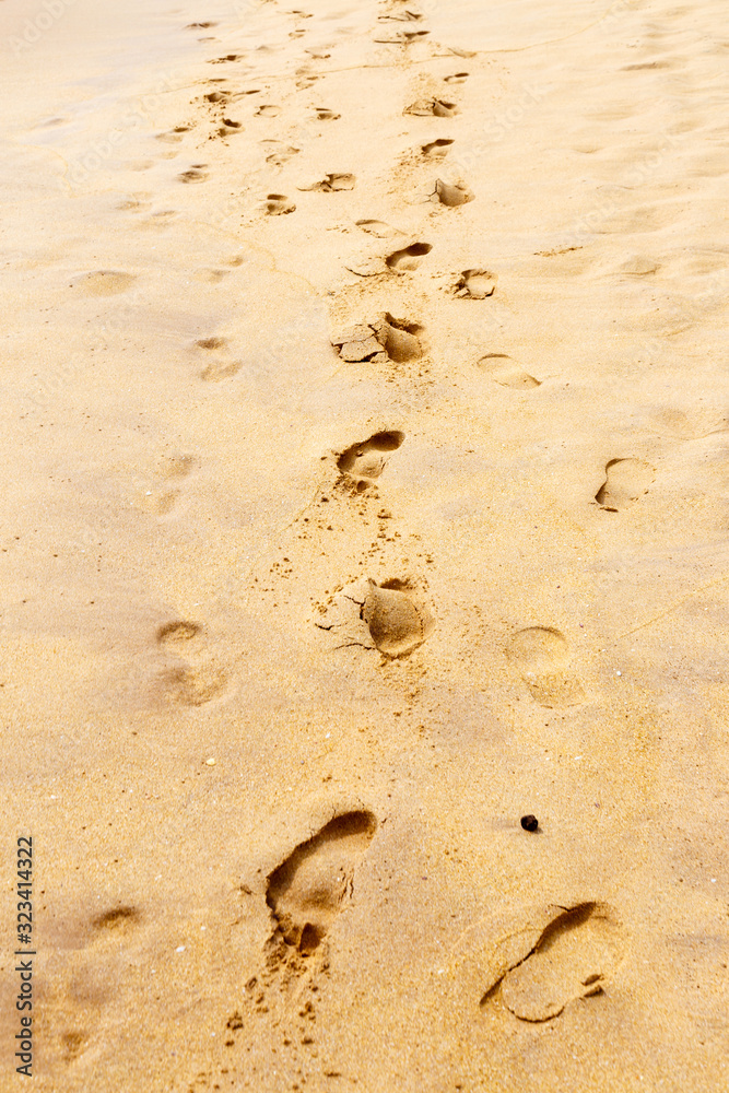 track footprints in the sand by sea horizontal frame track footprints in the sand by sea horizontal frame