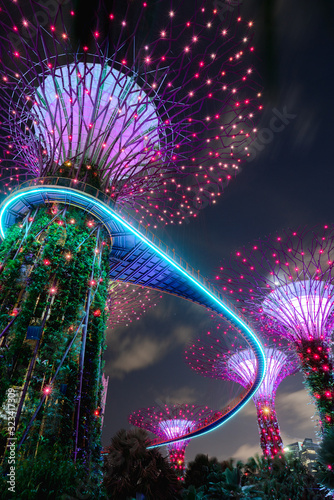 Photography Gardens by the Bay Singapore