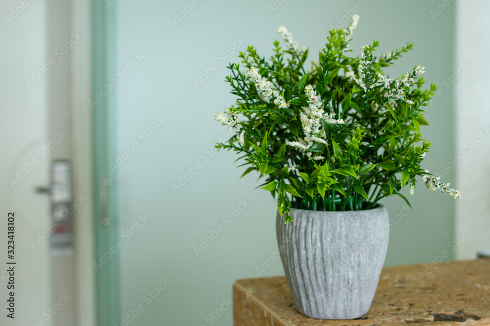 white pot on the counter in the afternoon white pot on the counter in the afternoon