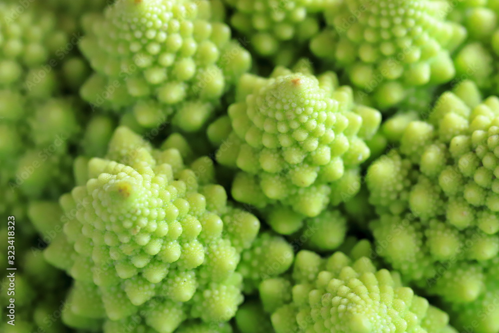 Romanesco broccoli