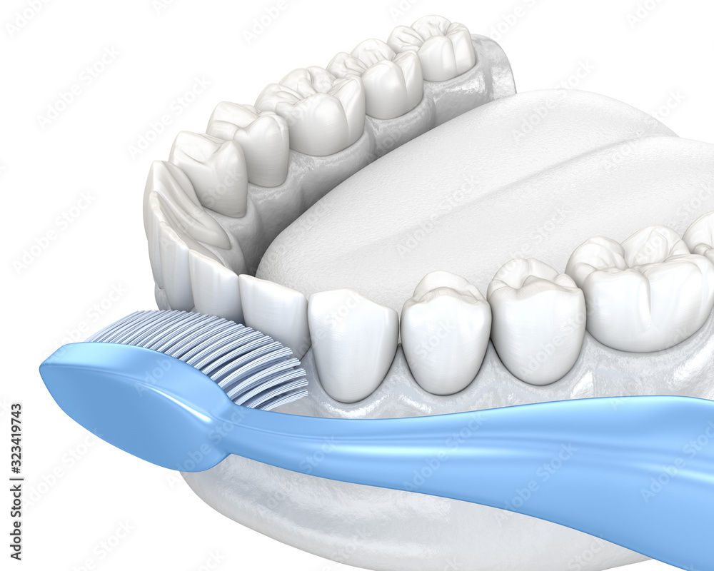 Toothbrush cleaning teeth, Isolated on white. Medically accurate 3D illustration of oral hygiene.