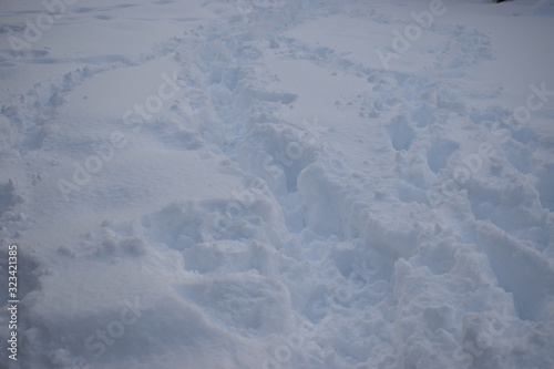 雪の中の足跡