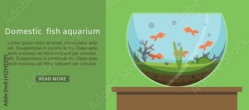 Domestic fish aquarium with golden fishes vector cartoon illustration. Fish aquarian house underwater tank bowl. Home aquarium system with water and plants banner for pet shop for print or web.