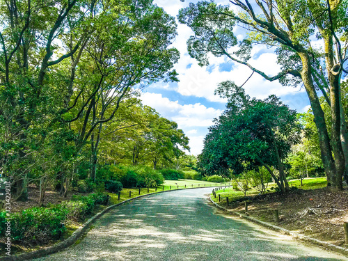 万博記念公園　歩道