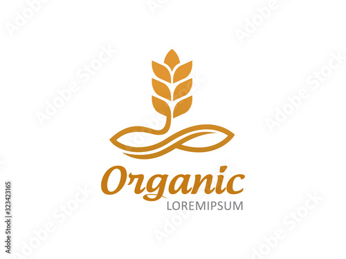 Wheat logo template design, icon, symbol