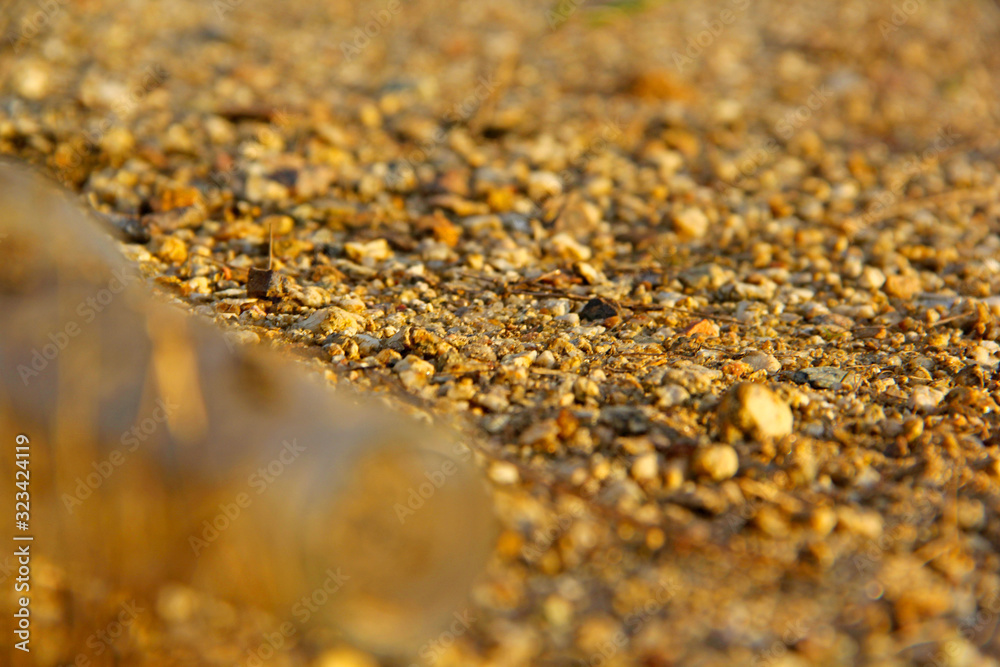 Bottles on sand Bottles on sand