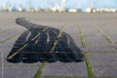 Burnig rubber, tire tracks  photo