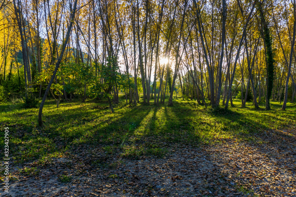 Fototapeta premium Barranc de l'Encantada