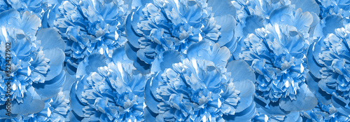 Beautiful blue floral background. Panoramic banner. © ruslan_khismatov