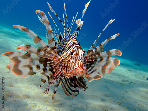 Taking in Red Sea, Egypt.