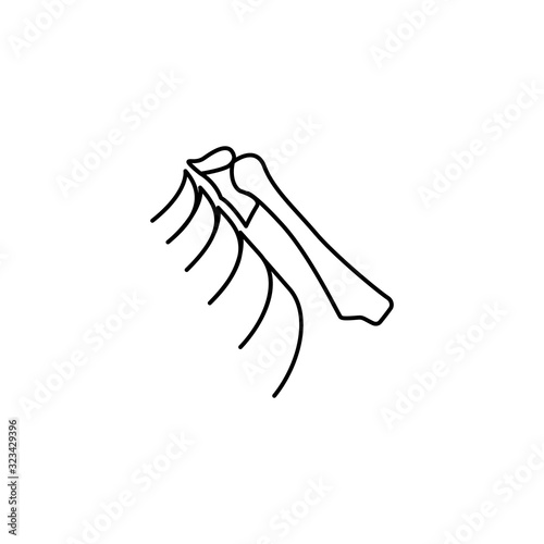 Ribs bone traumatology icon. Simple line, outline vector elements of traumatology icons for ui and ux, website or mobile application