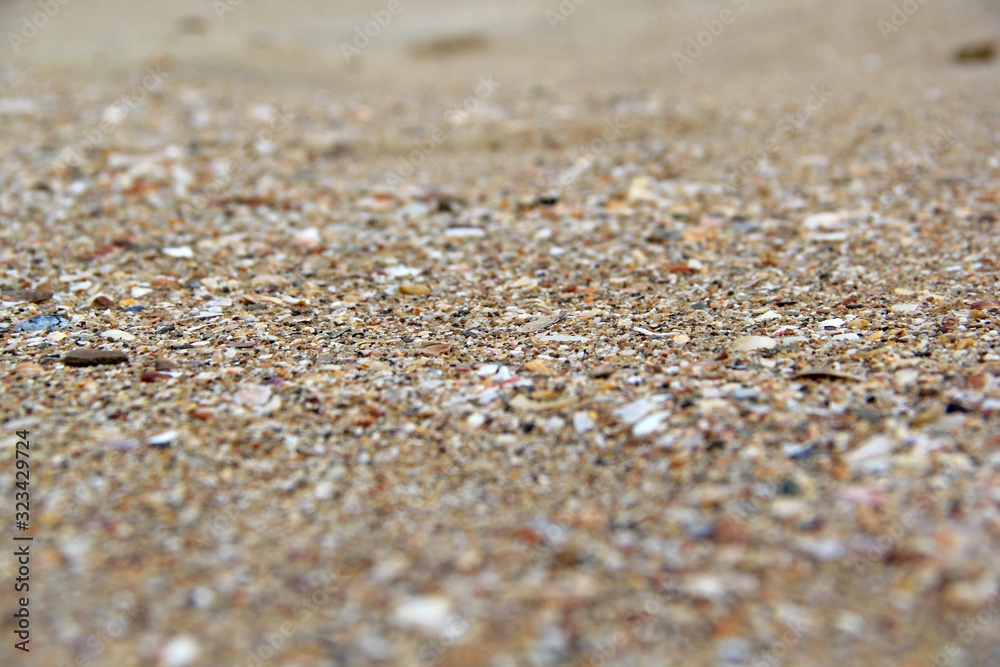shell shell