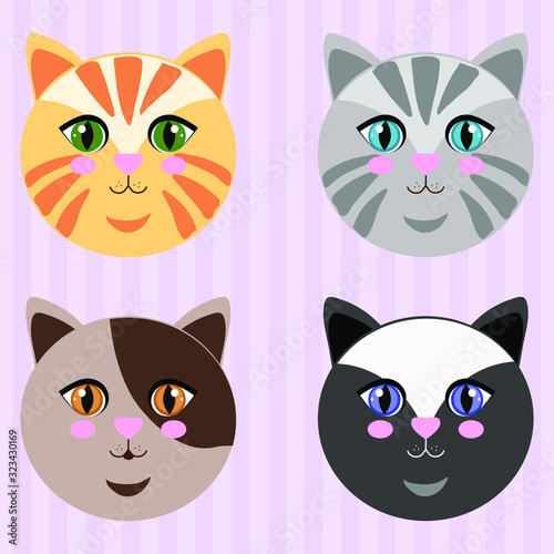 set of funny cats