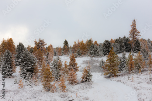 Wallpaper Mural landscape after snowfall Torontodigital.ca