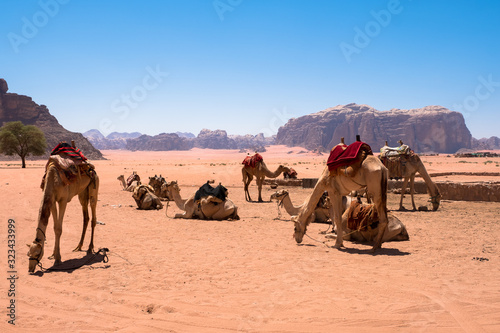  Wadi Rum, Jordan © ssviluppo