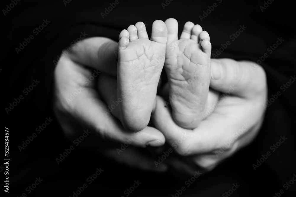 Fototapeta premium Newborn sweet baby