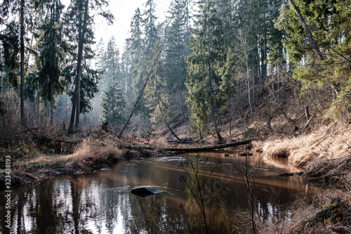 picturesque river in forest in autumn © Martins Vanags