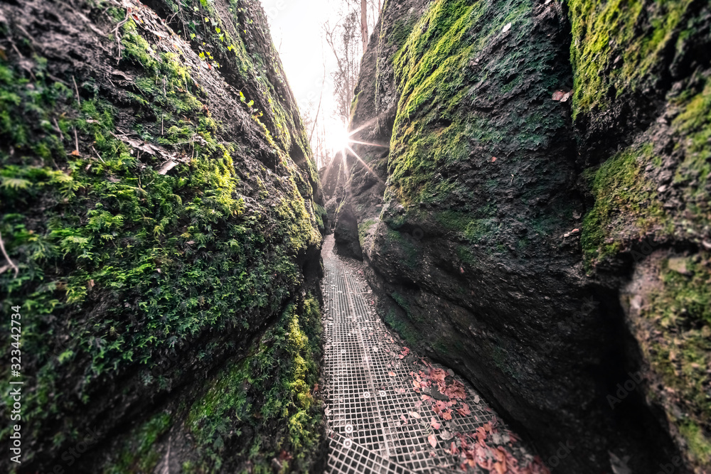 Wunschmotiv: Die Drachenschlucht bei Eisenach #323442734
