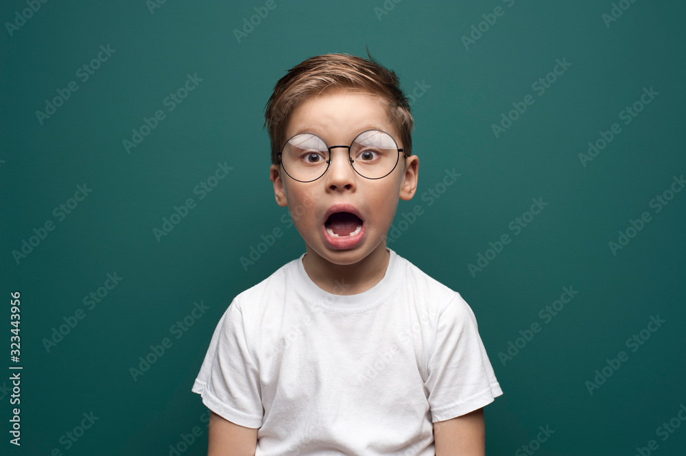 Portrait of a cute little boy with glasses looks into the camera posing on on green background Portrait of a cute little boy with glasses looks into the camera posing on on green background