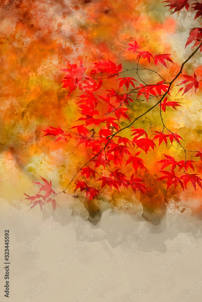 Digital watercolor painting of Beautiful colorful vibrant red and yellow Japanese Maple trees in Autumn Fall forest woodland landscape detail in English countryside