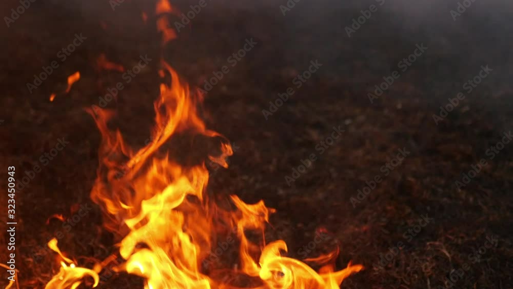 Burning grass of the field at night. Burning grass of the field at night.