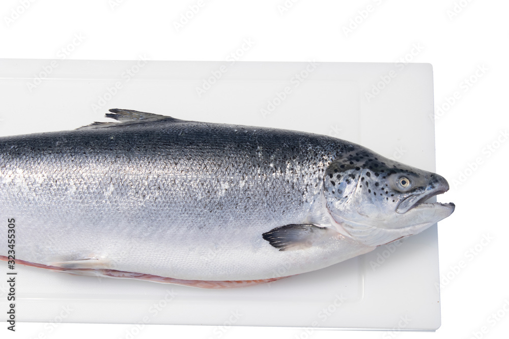 Obraz premium fresh fish on a plate