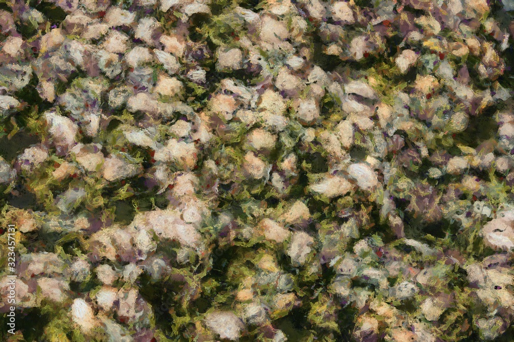 Fototapeta premium Beach with rocks Illustrations creates an impressionist style of painting.