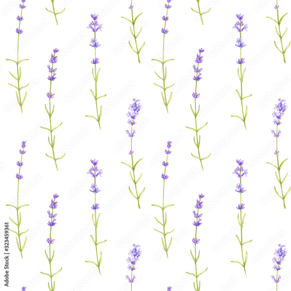Obraz premium seamless pattern with wild plants and flowers