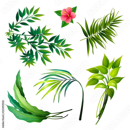 Set of Tropical Leaves Icons isolated on White
