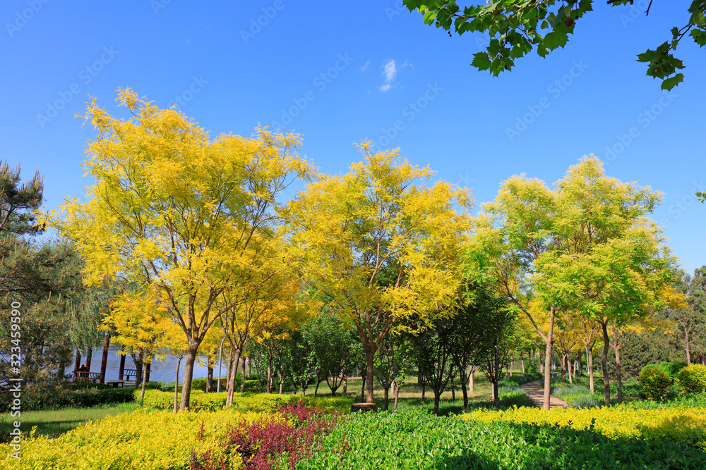 Naklejka premium green landscape in the park