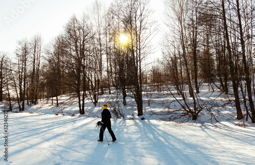 Russia, Moscow region, Grebnevo 08 February, 2020: Skier skiing with a dog. Winter sunny day