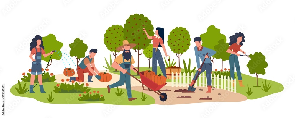 People in garden. Agricultural workers doing farming job harvesting with garden tools. Collecting fruits, watering vegetables vector background