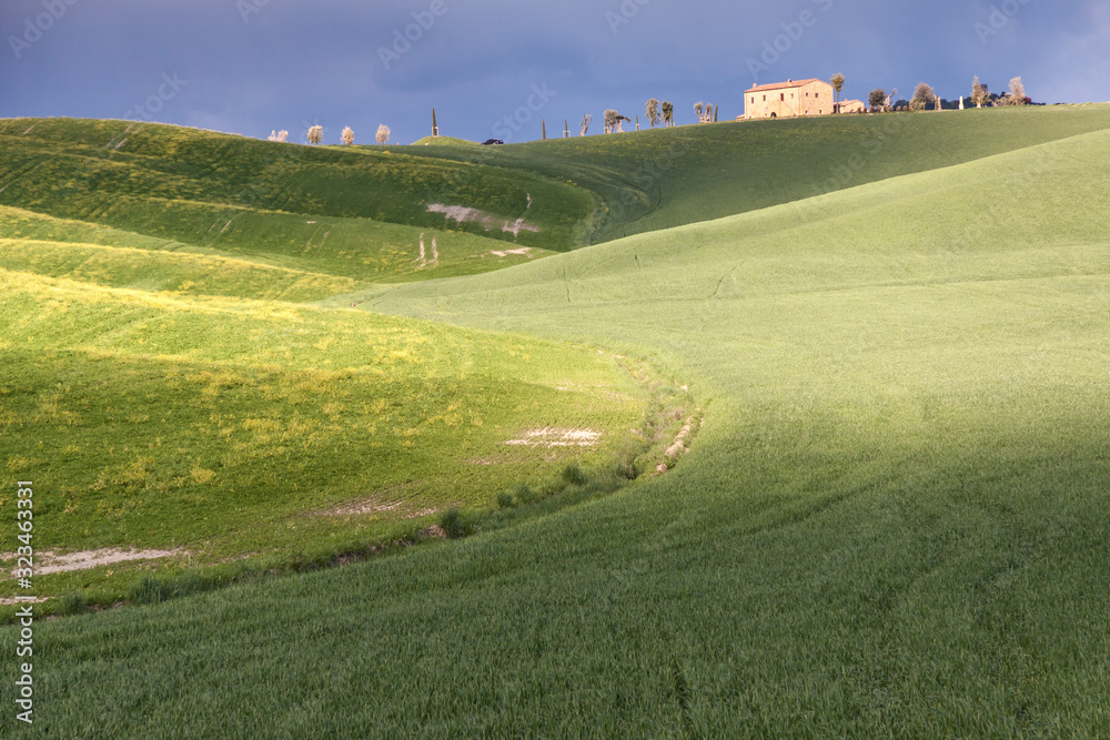Naklejka premium Tuscany landscape near Pienza village.