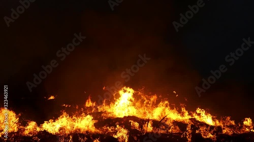 Burning grass of the field at night.	