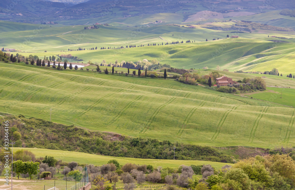 Farm in Tuscany, Italy.