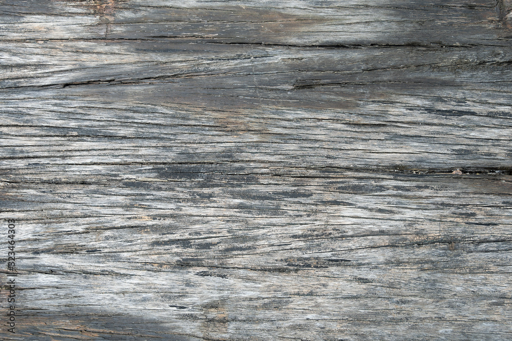 Naklejka premium The texture of the old tree is gray. Abstract background for design close-up. Natural wooden grunge board.